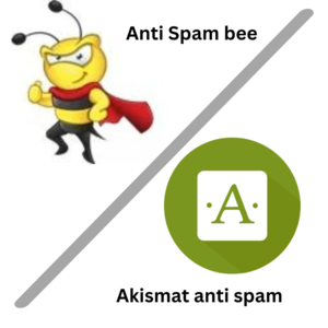 Anti spam bee and Akismat anti spam